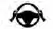 Steering Assist operational status indicator